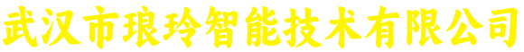 武汉市琅玲智能技术有限公司